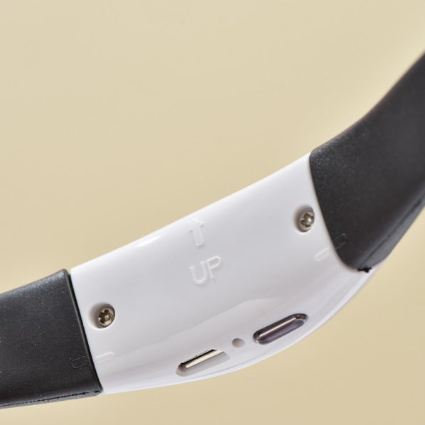 Cat Toy Laser Collar