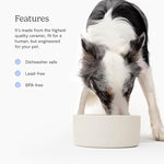 FABLE Ceramic Dog Bowl - Weighted Ceramic Dog Bowl Prevents Sliding - Dual Textured Dog Ceramic Bowl - Modern Ceramic Dog Water Bowl - Food-Safe Ceramic Puppy Bowls - Tofu - MLXL