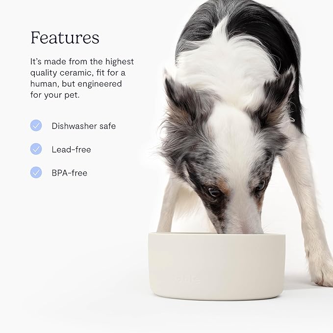 FABLE Ceramic Dog Bowl - Weighted Ceramic Dog Bowl Prevents Sliding - Dual Textured Dog Ceramic Bowl - Modern Ceramic Dog Water Bowl - Food-Safe Ceramic Puppy Bowls - Tofu - MLXL