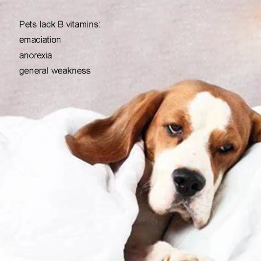 Pet Nutritional Supplement Vitamin B Oral Liquid for Cats and Dogs Improve Appetite Immunity