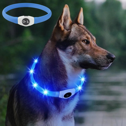 LED Luminous Dog Collar Waterproof & USB Rechargeable, Safe Nighttime Glow for All Dog Sizes