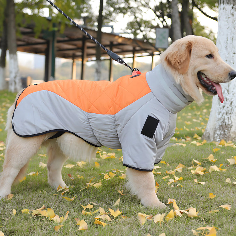 Stylish Jackets for Dogs Autumn and Winter