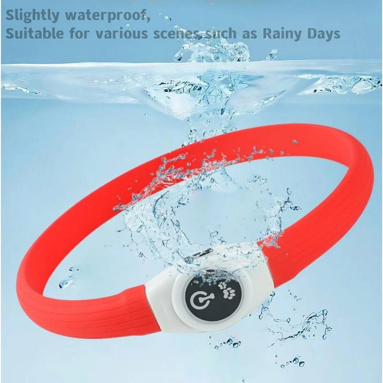 LED Luminous Dog Collar Waterproof & USB Rechargeable, Safe Nighttime Glow for All Dog Sizes