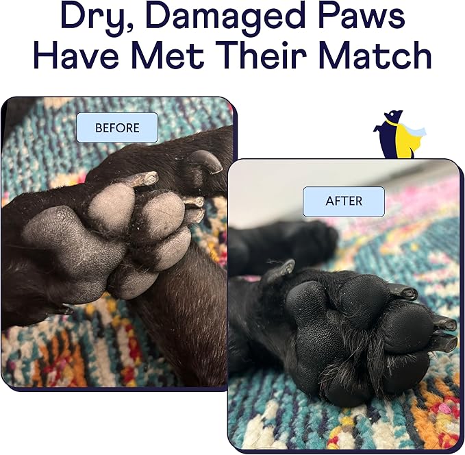 Finn Paw Hero Natural Revitalizing Dog Paw Balm Protect, Nourish & Repair Paws from Pavement, Dryness, & Spring Adventures - 1.75 oz