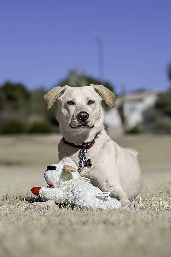 Multipet Plush Dog Toy, Lambchop, 10 Regular, White, Large