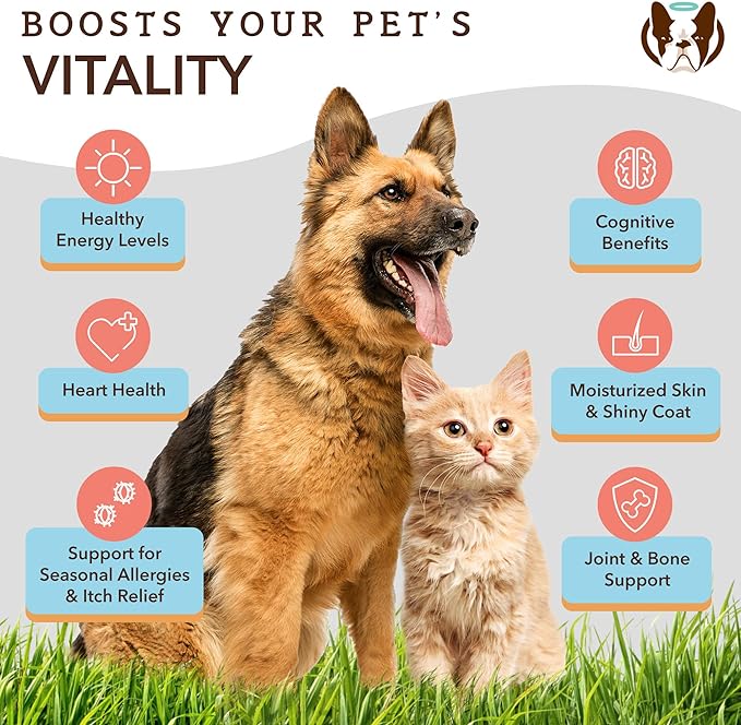 Wild Alaskan Fish Oil for Dogs & Cats (16oz) - Nourishes Skin & Coat