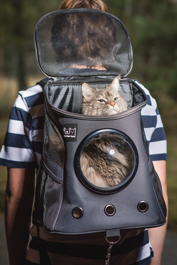 Pet Bubble Backpack