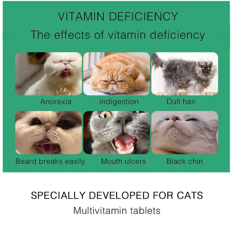 200 tablets of multi-vitamin supplement for pet cats
