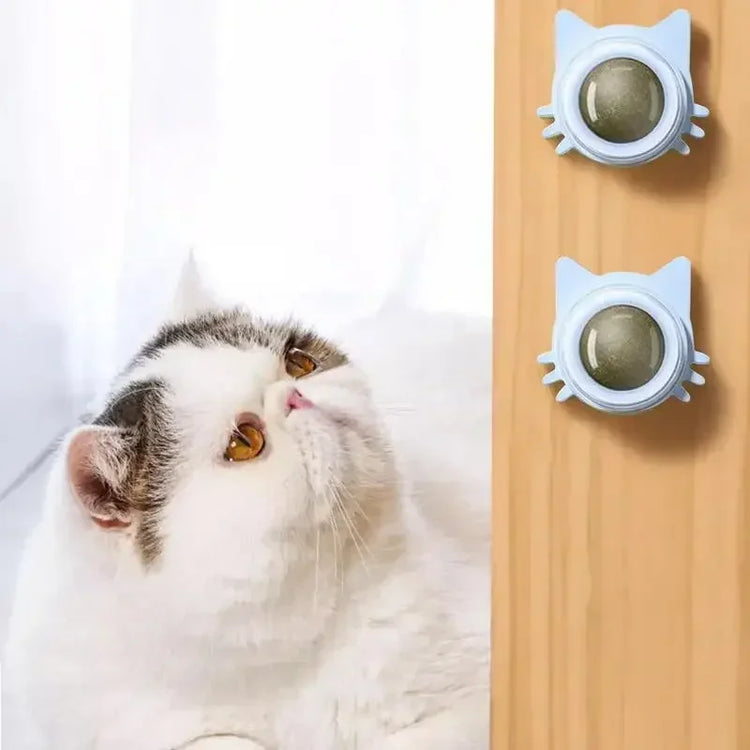 Catnip Balls Lickable Stickable for cats