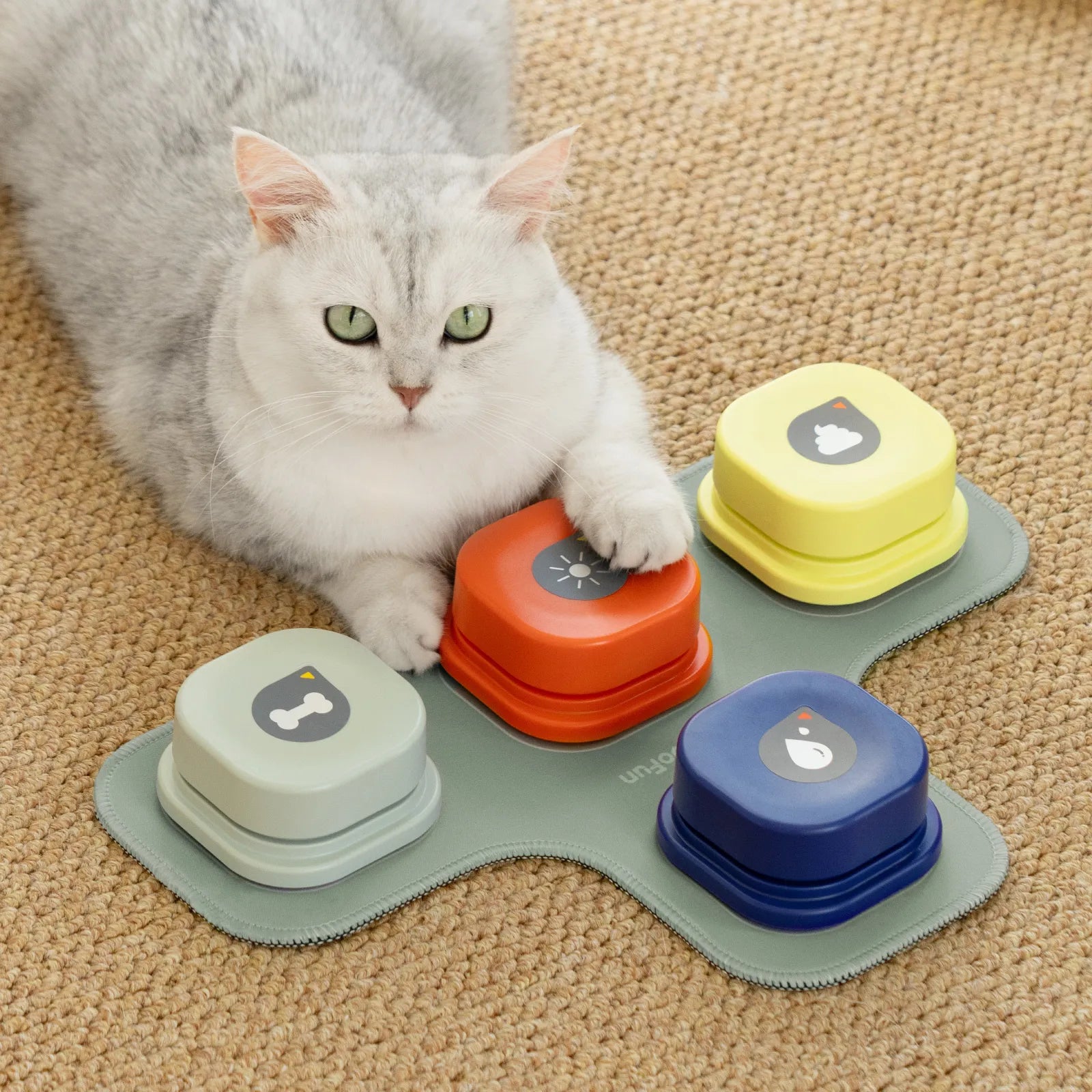 Talking Pet Communication Vocal Training Interactive Toy