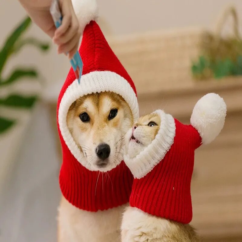 Winter Warm Pet Knitting Headgear Christmas Costume