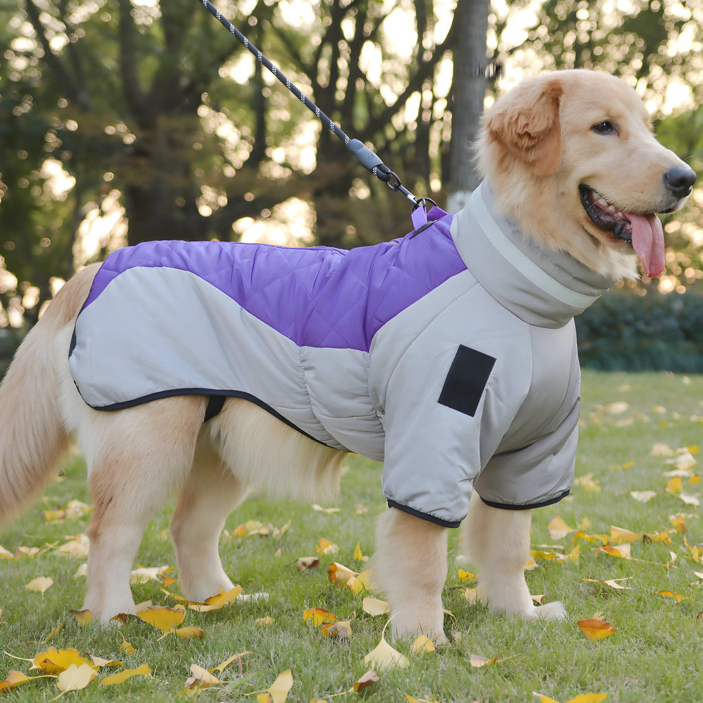 Stylish Jackets for Dogs  Autumn and Winter
