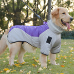 Stylish Jackets for Dogs  Autumn and Winter