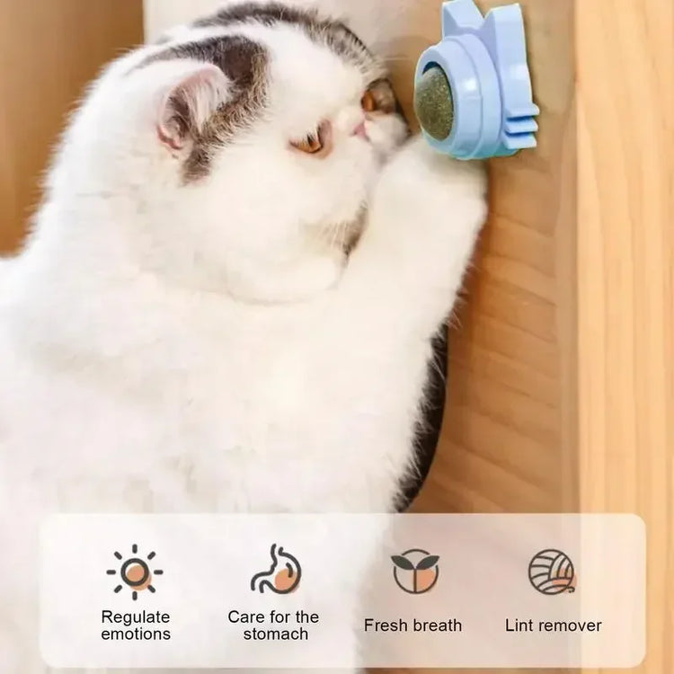 Catnip Balls Lickable Stickable for cats