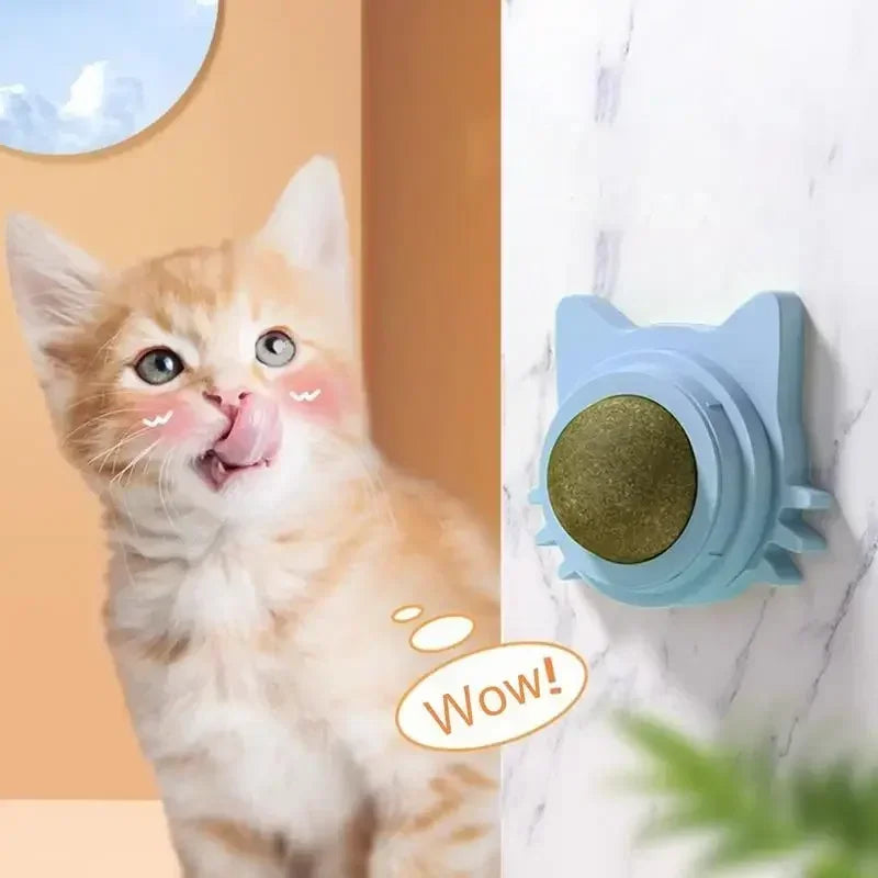 Catnip Balls  Lickable Stickable for cats