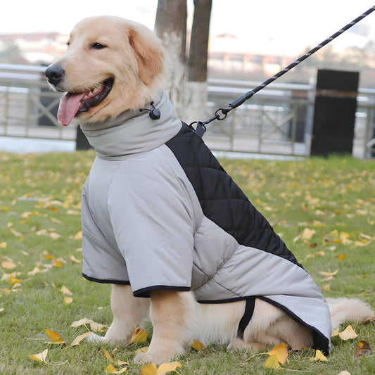 Stylish Jackets for Dogs  Autumn and Winter