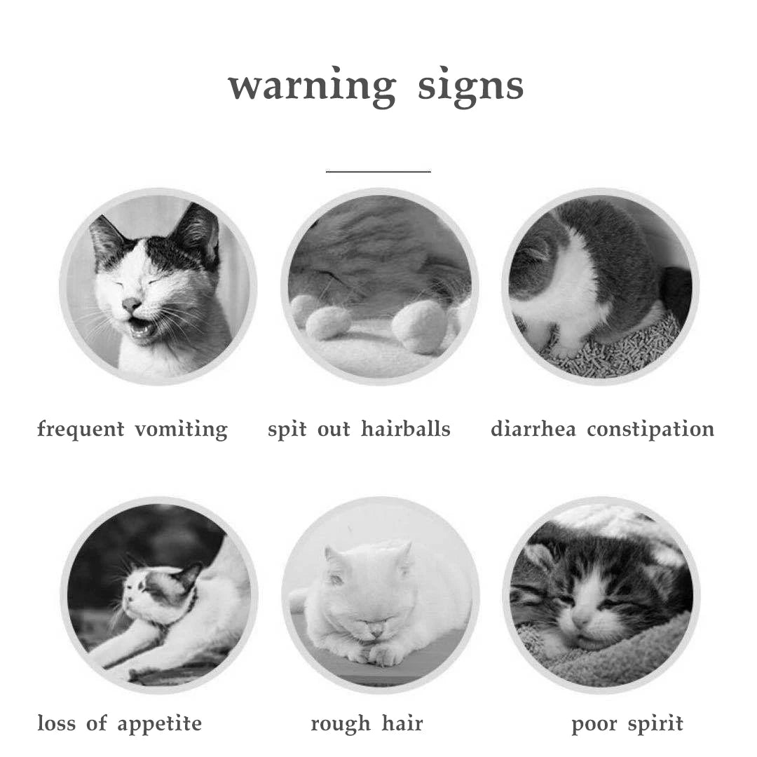 Pet hair loss resolves hair bulbs to promote digestion and conditioning vitamins and hair