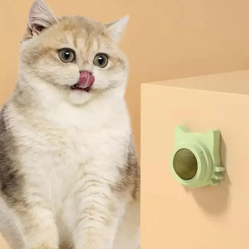 Catnip Balls  Lickable Stickable for cats