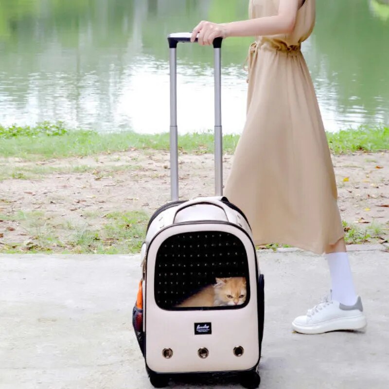 Trolley Pet Backpack