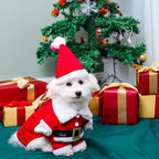 Cosplay Costumes Dogs Cat Hoodies