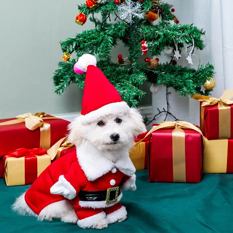 Cosplay Costumes Dogs Cat Hoodies