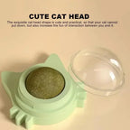 Catnip Balls  Lickable Stickable for cats