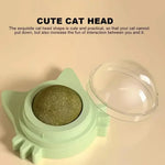 Catnip Balls  Lickable Stickable for cats