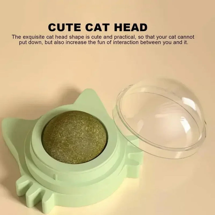 Catnip Balls Lickable Stickable for cats