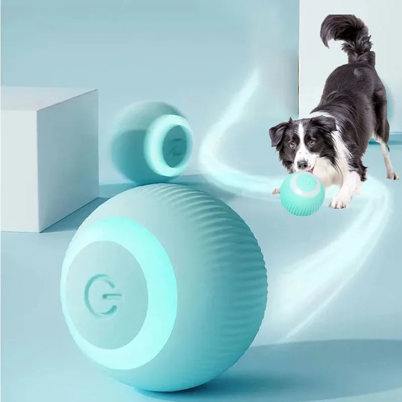 Electric Cat Ball Toys