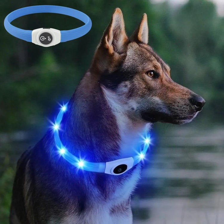 LED Luminous Dog Collar Waterproof & USB Rechargeable, Safe Nighttime Glow for All Dog Sizes