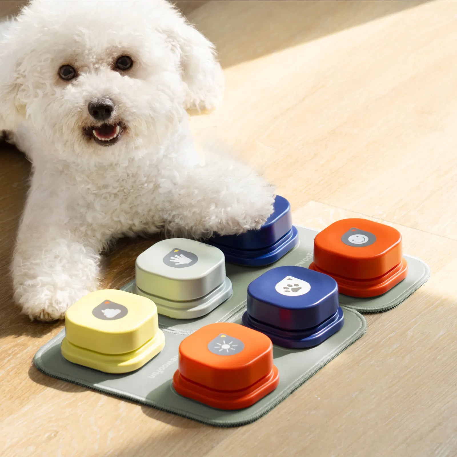 Talking Pet Communication Vocal Training Interactive Toy