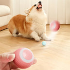 Electric Cat Ball Toys