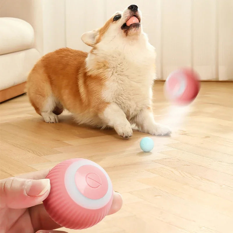 Electric Cat Ball Toys