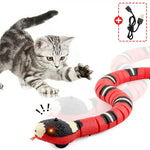 Snake Cat Teaser Indoor Play Kitten Toy USB Rechargeable