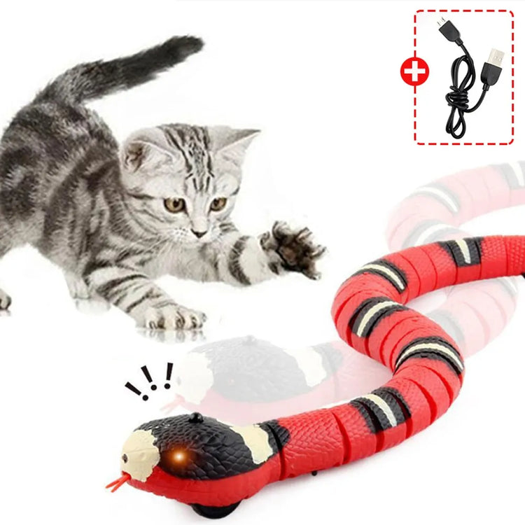 Snake Cat Teaser Indoor Play Kitten Toy USB Rechargeable