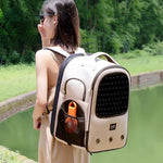 Trolley Pet Backpack