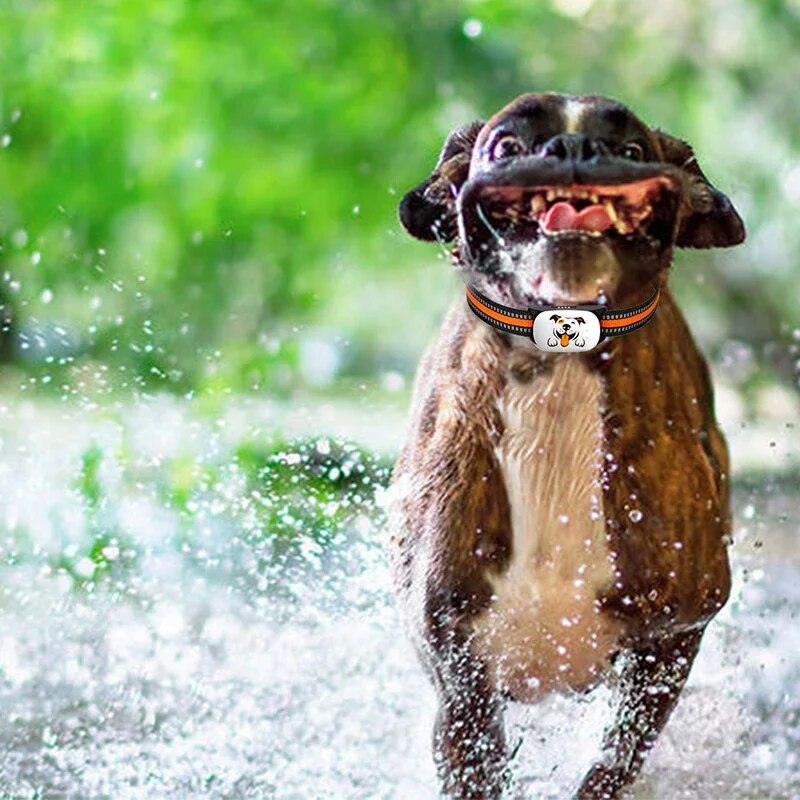 4G GPS Pet Tracker: Waterproof Dog & Cat Locator