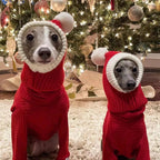 Winter Warm Pet Knitting Headgear Christmas Costume