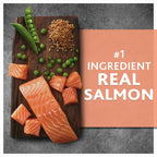 Pure Balance Wild & Free Salmon & Pea Recipe Dry Dog Food, Grain-Free, 24 lbs