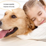 Pet Nutritional Supplement Vitamin B Oral Liquid for Cats and Dogs Improve Appetite Immunity