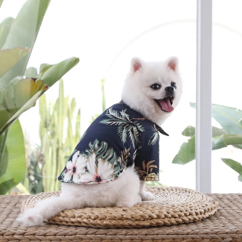 Small and medium-sized dog beach pineapple shirt spring and summer season clothing