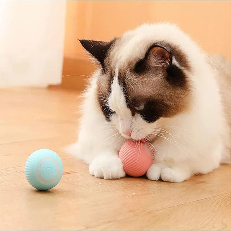 Electric Cat Ball Toys