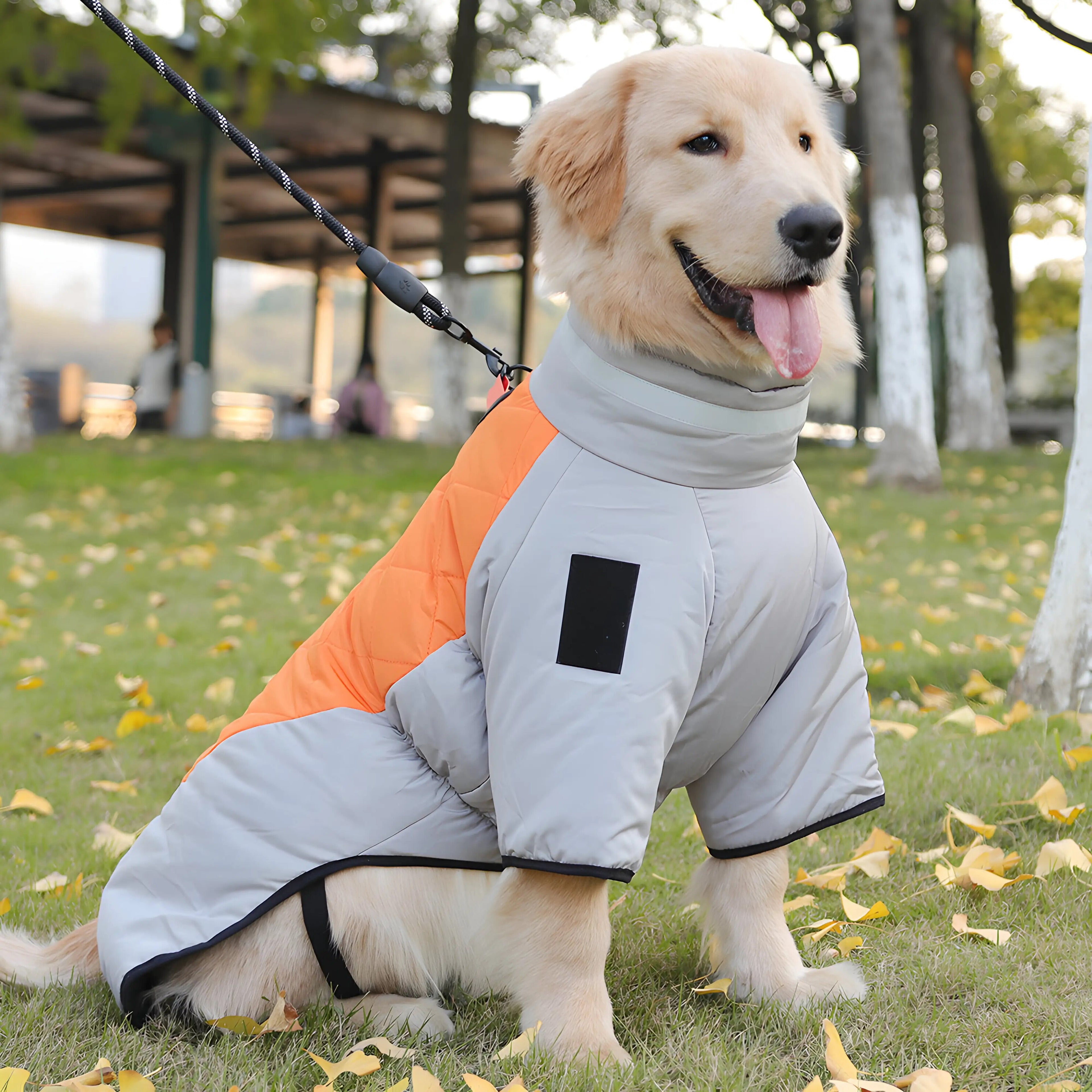 Stylish Jackets for Dogs  Autumn and Winter