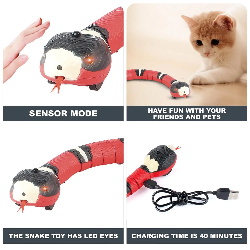 Snake Cat Teaser Indoor Play Kitten Toy USB Rechargeable