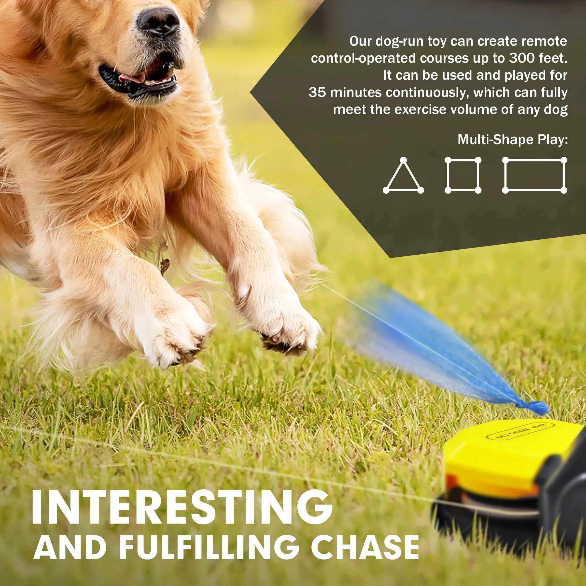 Dog Chase Toys