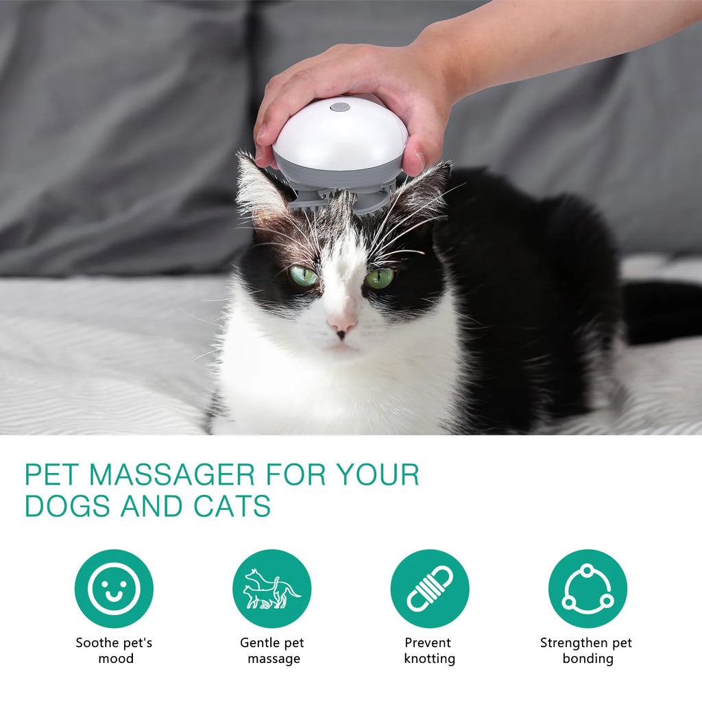 Electric Pet Massager