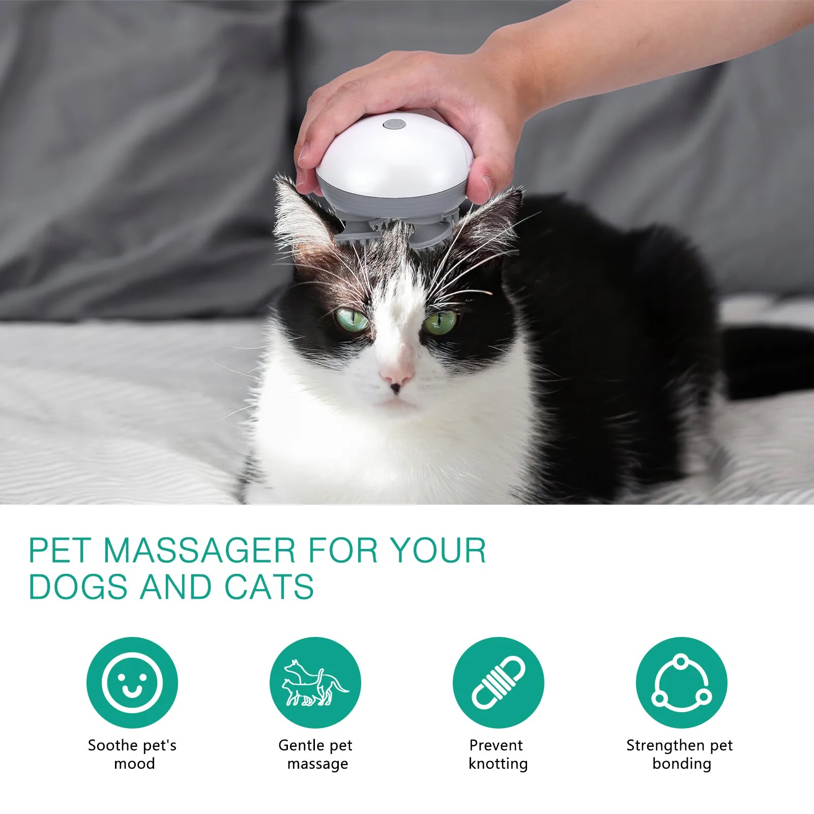 Electric Pet Massager