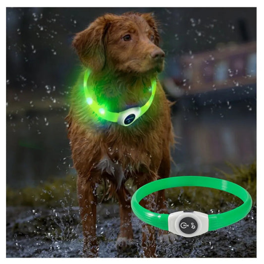 LED Luminous Dog Collar Waterproof & USB Rechargeable, Safe Nighttime Glow for All Dog Sizes