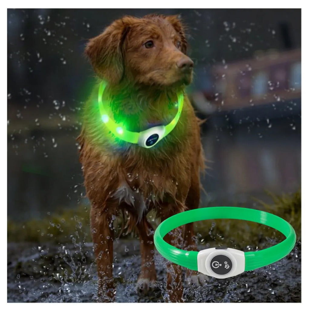 LED Luminous Dog Collar Waterproof & USB Rechargeable, Safe Nighttime Glow for All Dog Sizes