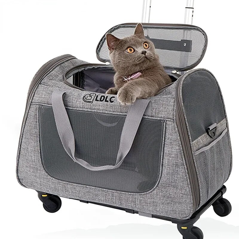 Outing Portable Breathable Puppy Carrier